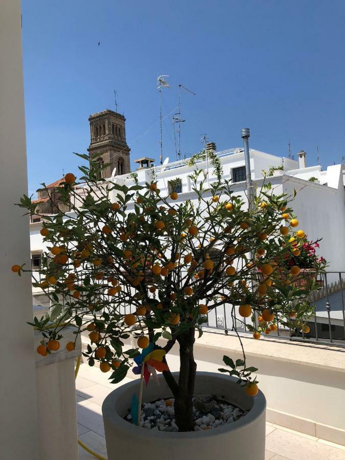 Palazzotto "Fasano Antica" Apartment ภายนอก รูปภาพ